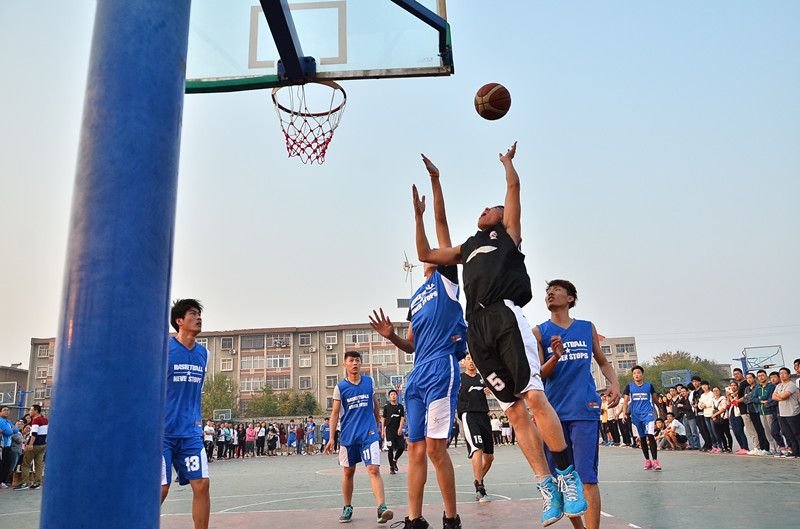 DSC_8480.JPG